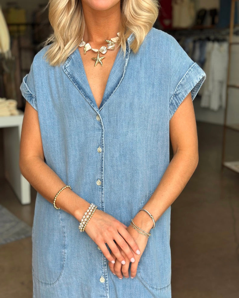 Napa Mini Denim dress