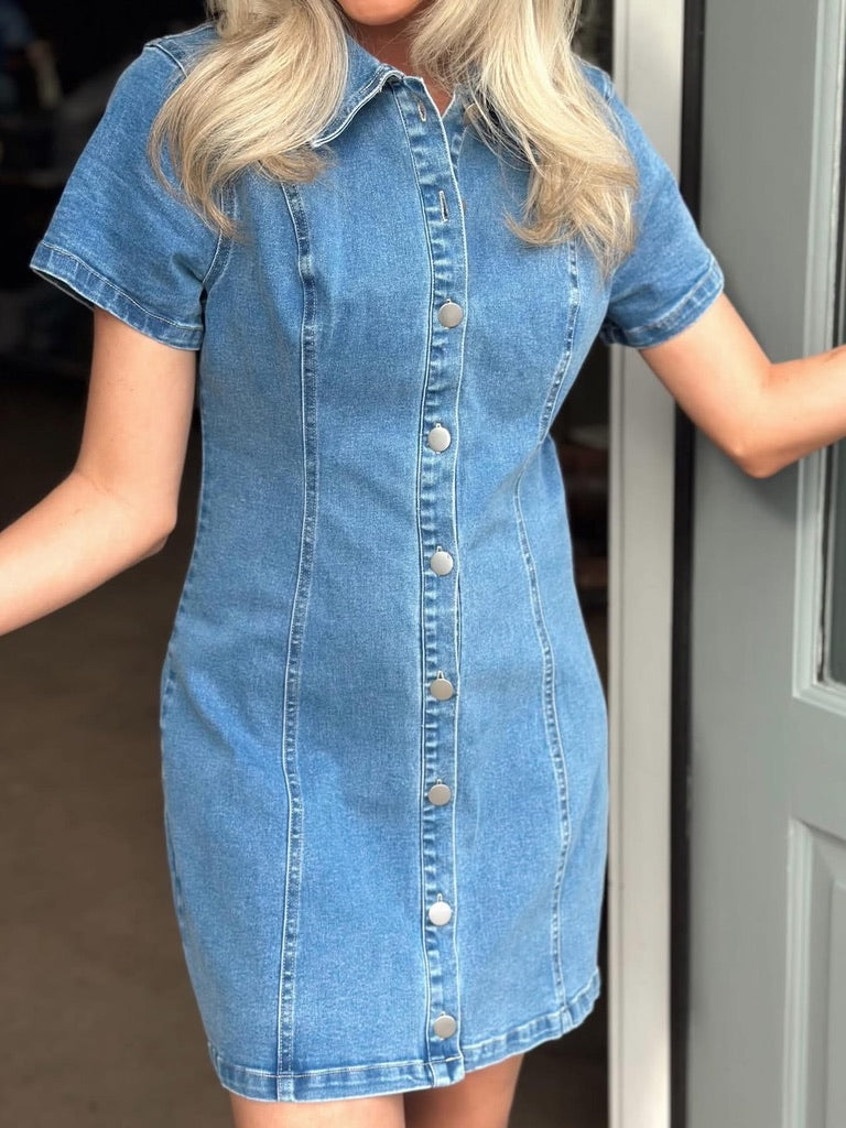 Denim Dream Button Down dress
