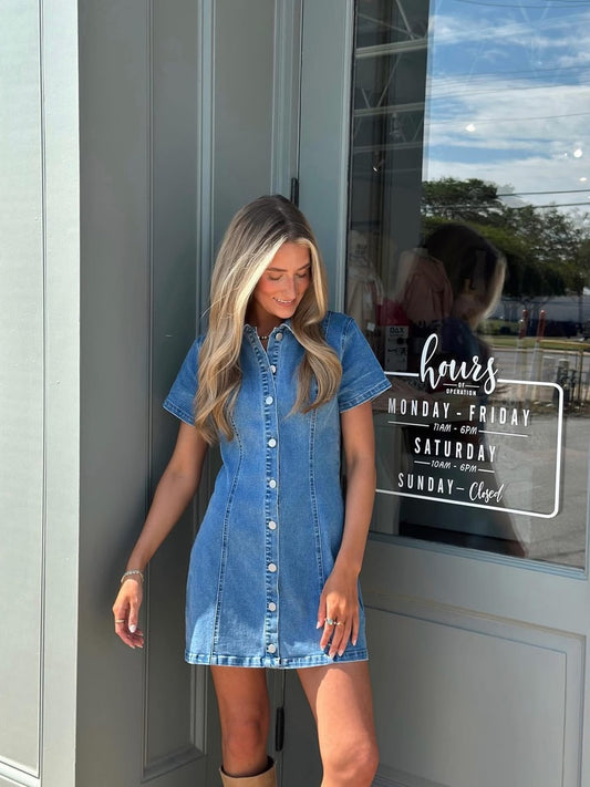 Denim Dream Button Down dress