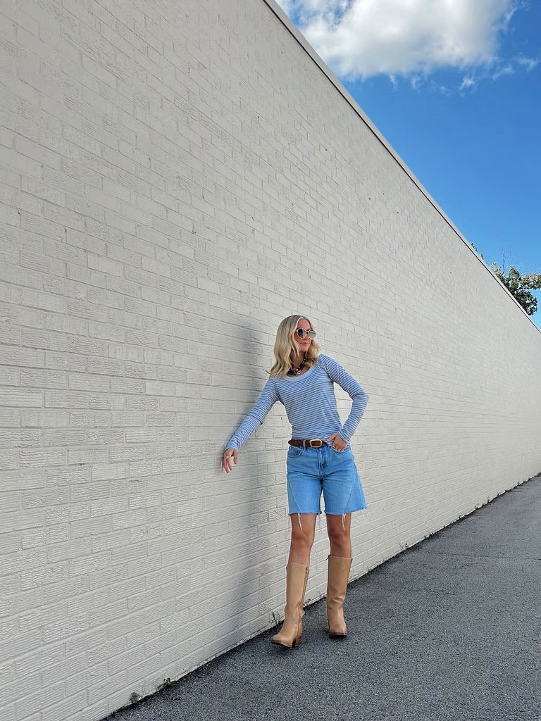Light Blue and Brown Striped top