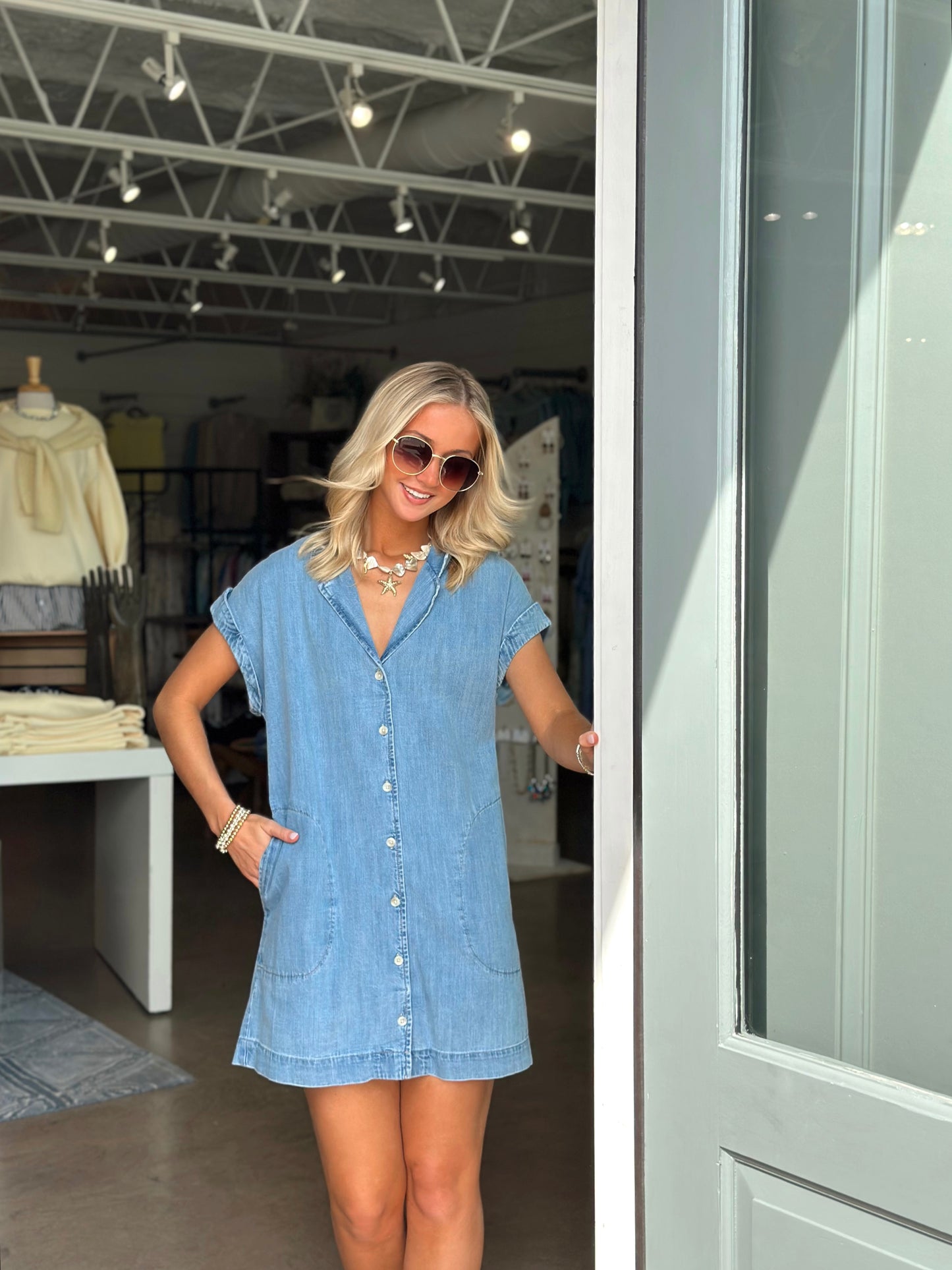 Napa Mini Denim dress